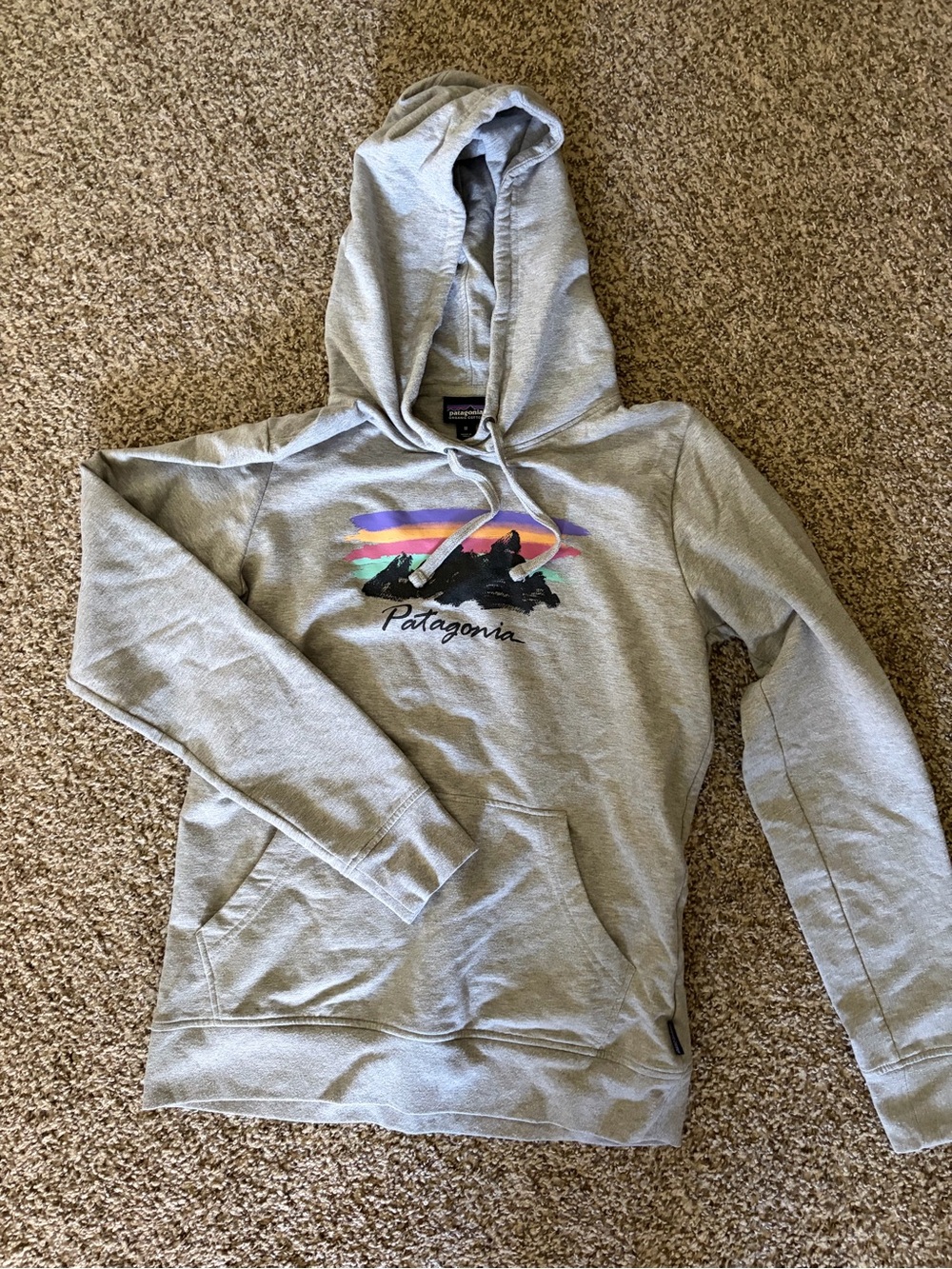 Patagonia Light Gray Hoodie with Colorful Mountain Graphic